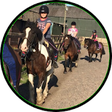 Icon of program: Horse riding