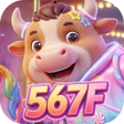 Icon of program: 567FClasp