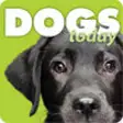 Icon of program: Dogs Today Magazine