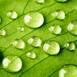 Icon of program: Spring Live Wallpaper HD