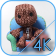 Icono de programa: Voodoo Doll Live Wallpape…