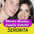 Icono de programa: Senorita Shawn Mendes son…