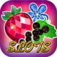 Icon of program: Fruit Jewels Slots Casino…