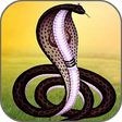 Icon of program: Goga Maharaj Ringtones