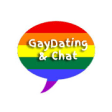 Icon of program: Gay Dating & Chat