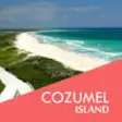 Icon of program: Cozumel Island Offline Tr…