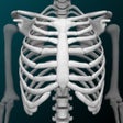 Icon of program: Bones 3D (Anatomy)