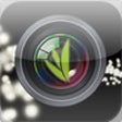 Icon of program: Pictivate