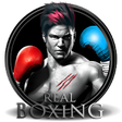 Icon of program: Real Punch Boxing 3D : Ki…