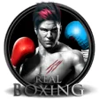 Icon of program: Real Punch Boxing 3D : Ki…