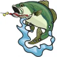 Icon of program: Bass Fishing Guide For Be…