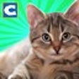 Icono de programa: City Cat Simulator