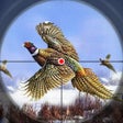 Icon of program: Pheasant Bird Hunting 3d