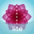 Icon of program: Chakra Meditation Lite
