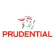 Icon of program: Prudential Investor Relat…