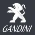 Icon of program: Gandini