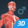 Icono de programa: Human body (male) educati…