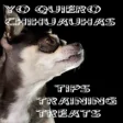 Icon of program: Yo Quiero Chihuahua!