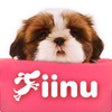 Icon of program: Look!Shihtzu
