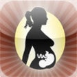 Icon of program: Pregnancy Weeks**