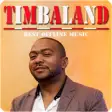 Icon of program: Timbaland - Best Offline …