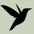 Icon of program: Birds Of Southern Africa