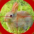 Icon of program: Sniper Rabbit Hunting 3D
