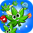 Icon of program: Blast Match 3 Flowers Blo…