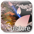 Icon of program: Japanese Sakura Live Wall…