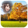 Icon of program: Forest Photo Frames