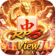 Icono de programa: RP6View