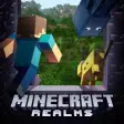 Icon of program: Minecraft Realms