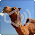 Icono de programa: Camel Sounds Ringtone