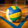 Icon of program: Escape Game: Volleyball S…