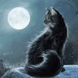 Icon of program: North Windford ~ Sleep, r…
