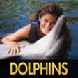 Icon of program: Cute Dolphin Pictures