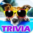 Icon of program: Ace Dog Breed Trivia - Fr…