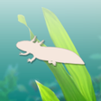 Icon of program: Axolotl Pet