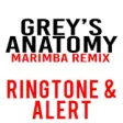 Icon of program: Grey's Anatomy Marimba To…