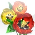 Icon of program: Flower Shop Big City Brea…