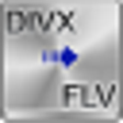 Icon of program: Free DIVX to FLV Converte…