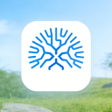 Icono de programa: LS TreeMind