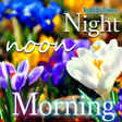 Icon of program: Good Morning Good Night F…