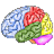 Icono de programa: Brain Workshop