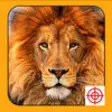 Icon of program: Safari Hunter Pro: 2015 E…
