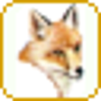 Icon of program: MetadataFox