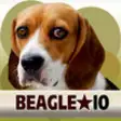 Icon of program: Beagle IO