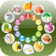 Icon of program: Vitamins and Minerals