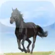 Icon of program: Horse Encyclopedia for iP…