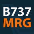 Icon of program: B737 MRG